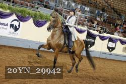 20YN_29942 thumbnail
