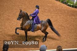 20YN_29980 thumbnail
