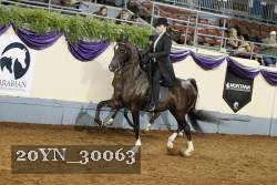 20YN_30063 thumbnail