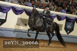 20YN_30066 thumbnail