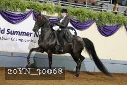 20YN_30068 thumbnail