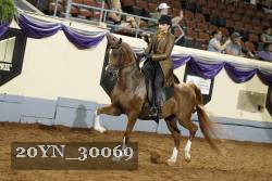 20YN_30069 thumbnail
