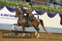 20YN_30070 thumbnail