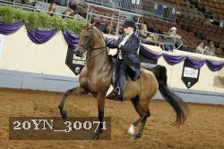 20YN_30071 thumbnail