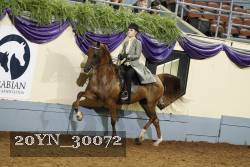 20YN_30072 thumbnail