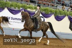 20YN_30073 thumbnail
