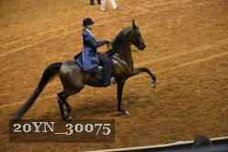 20YN_30075 thumbnail