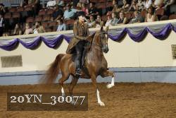 20YN_30077 thumbnail