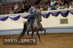 20YN_30079 thumbnail