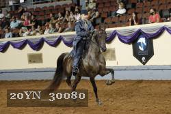20YN_30080 thumbnail