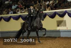 20YN_30081 thumbnail
