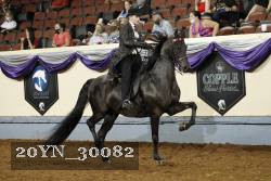 20YN_30082 thumbnail