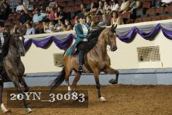 20YN_30083 thumbnail