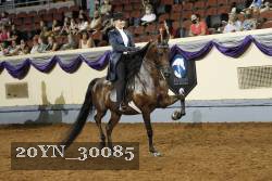 20YN_30085 thumbnail