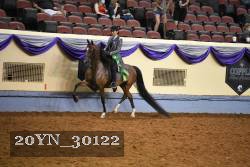 20YN_30122 thumbnail