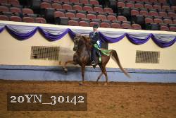 20YN_30142 thumbnail