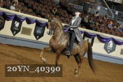 20YN_40390 thumbnail