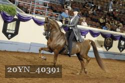 20YN_40391 thumbnail