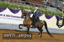 20YN_40394 thumbnail