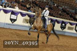 20YN_40395 thumbnail