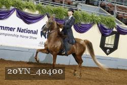 20YN_40400 thumbnail