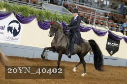 20YN_40402 thumbnail