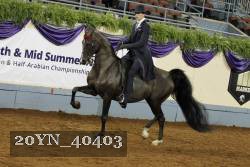 20YN_40403 thumbnail