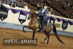 20YN_40405 thumbnail