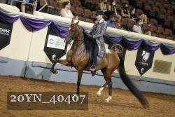 20YN_40407 thumbnail