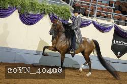 20YN_40408 thumbnail