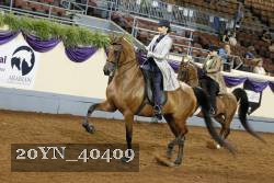 20YN_40409 thumbnail