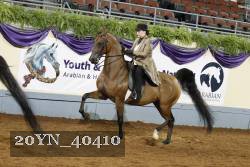 20YN_40410 thumbnail