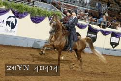 20YN_40414 thumbnail