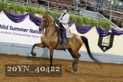 20YN_40422 thumbnail