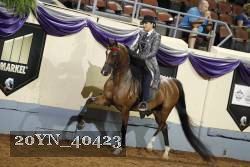 20YN_40423 thumbnail