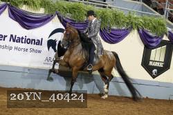 20YN_40424 thumbnail