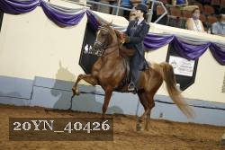 20YN_40426 thumbnail