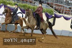 20YN_40427 thumbnail