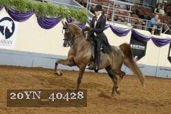 20YN_40428 thumbnail