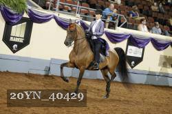 20YN_40429 thumbnail