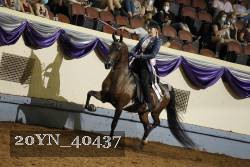 20YN_40437 thumbnail