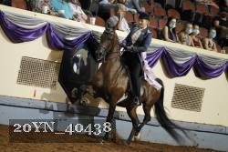 20YN_40438 thumbnail
