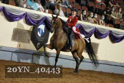 20YN_40443 thumbnail