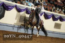 20YN_40447 thumbnail