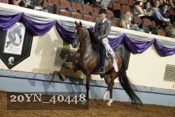 20YN_40448 thumbnail