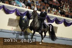 20YN_40452 thumbnail