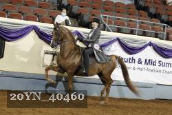 20YN_40460 thumbnail