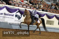 20YN_40464 thumbnail