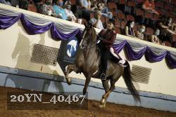20YN_40467 thumbnail