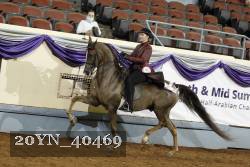 20YN_40469 thumbnail